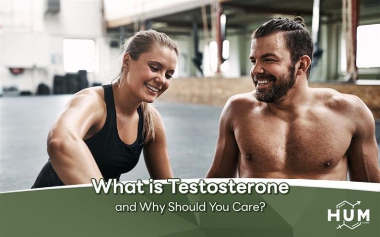 What is Testosterone and Why Should You Care?