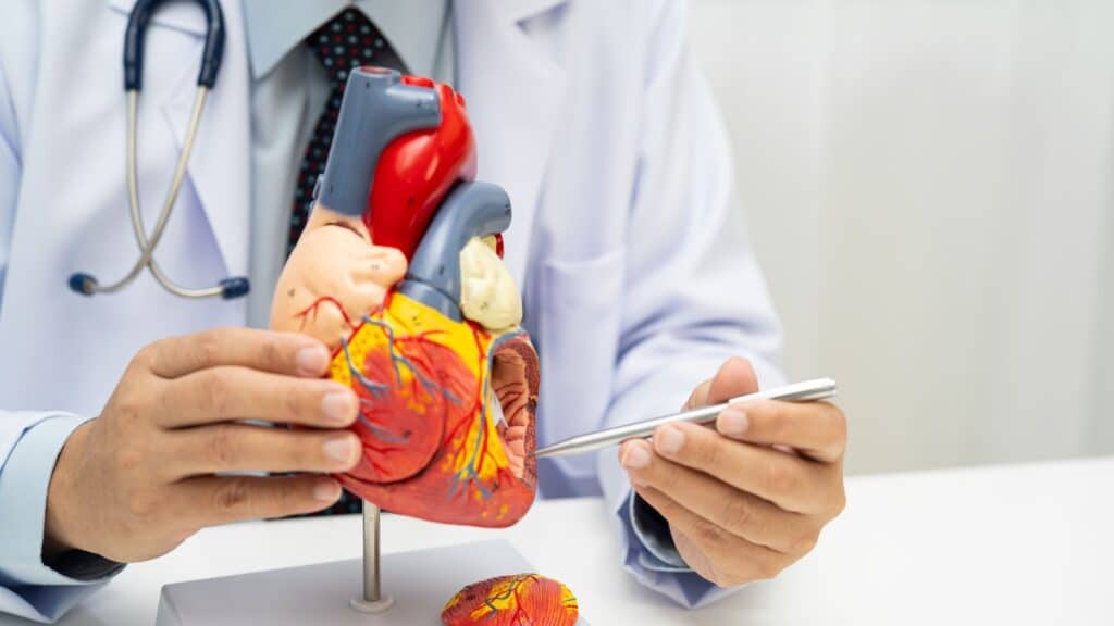 Understanding Cardiovascular Disease (CVD)