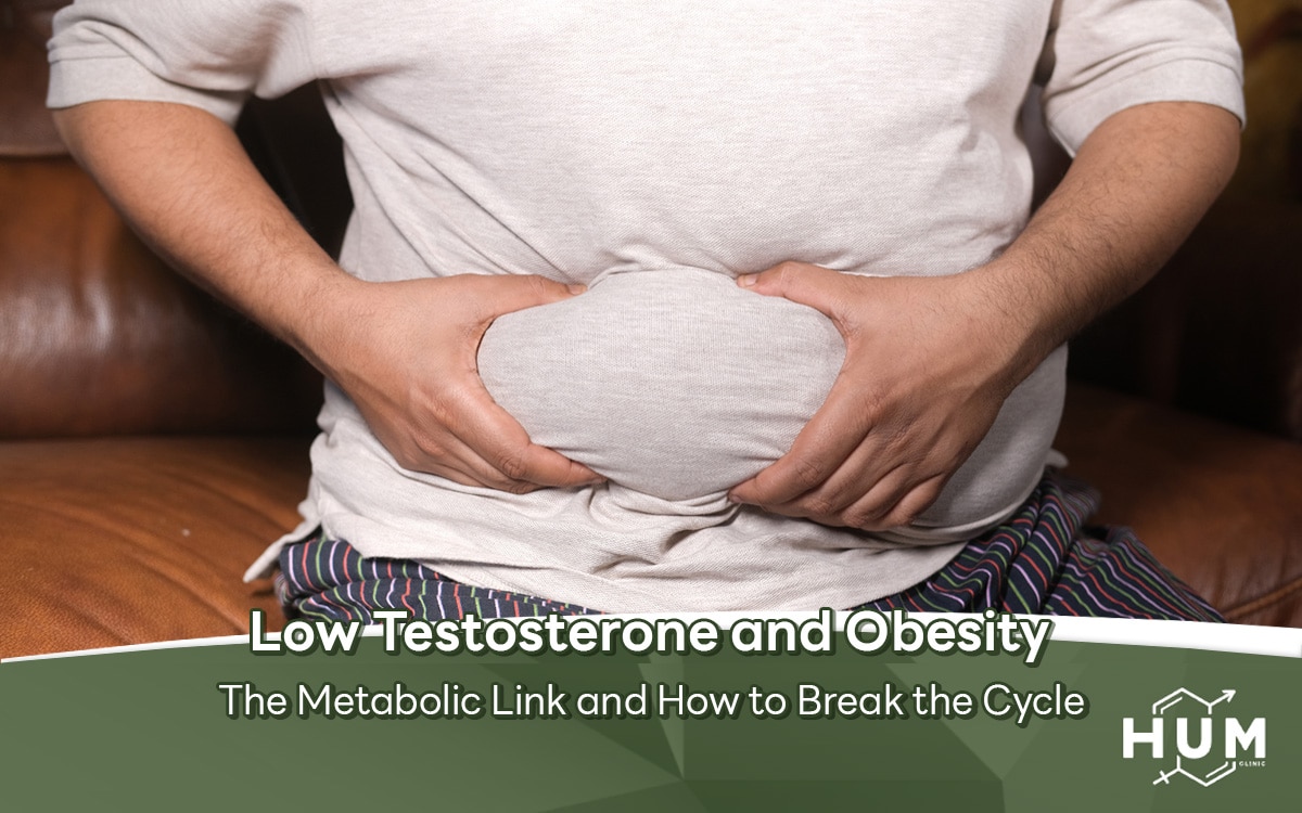 Low Testosterone and Obesity — The Metabolic Link and How to Break the Cycle