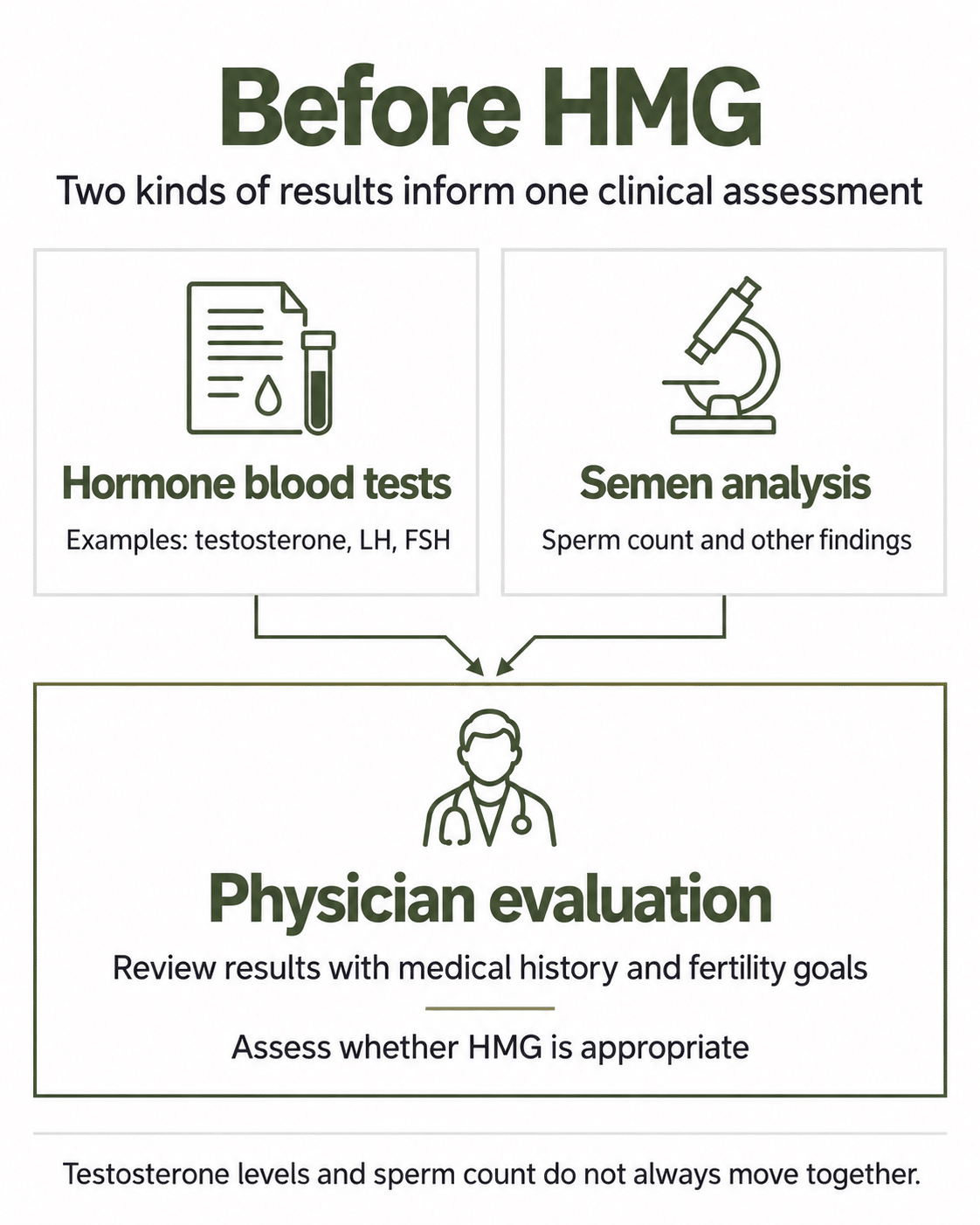 Flowchart showing hormone blood tests and semen analysis feeding into a physician's assessment of HMG suitability.